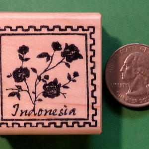 Indonesia Country Passport1